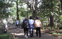 アクティビティ記事画像