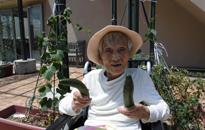 アクティビティ記事画像