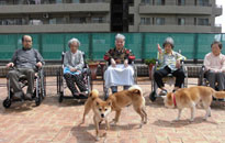 アクティビティ記事画像