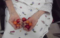 アクティビティ記事画像