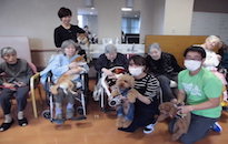 アクティビティ記事画像