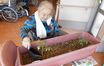 アクティビティ記事画像