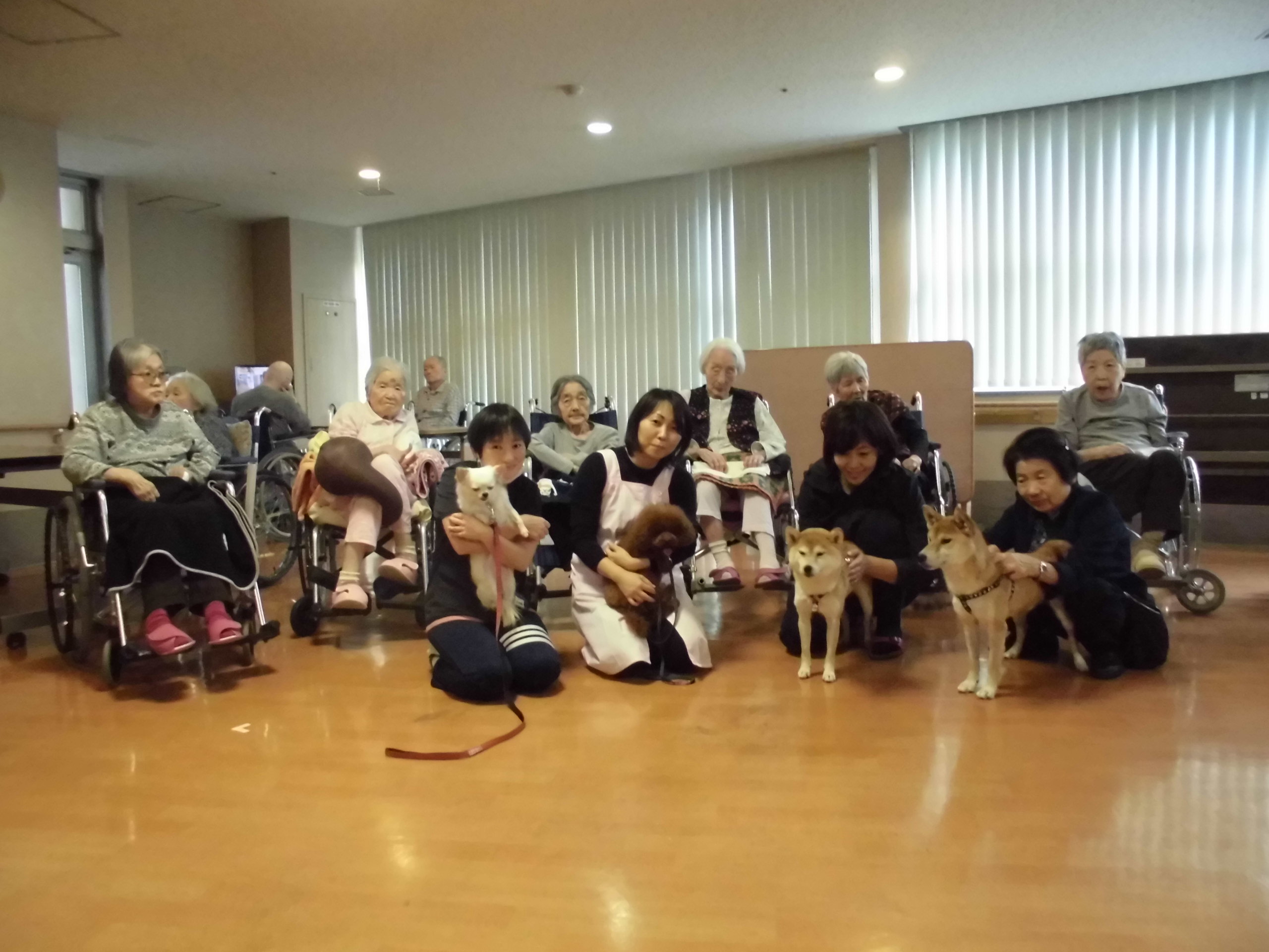 アクティビティ記事画像