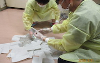 アクティビティ記事画像