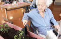 アクティビティ記事画像