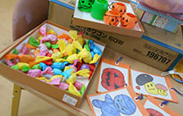 アクティビティ記事画像