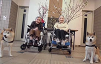 アクティビティ記事画像