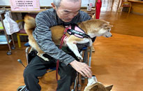 アクティビティ記事画像