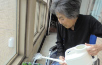 アクティビティ記事画像