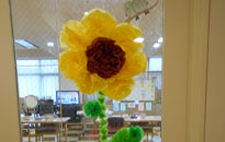 アクティビティ記事画像