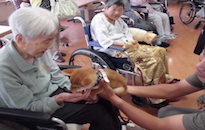 アクティビティ記事画像