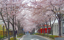 アクティビティ記事画像