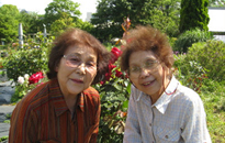 アクティビティ記事画像