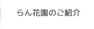 らん花園のご紹介