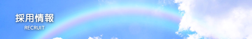 サブビジュアル